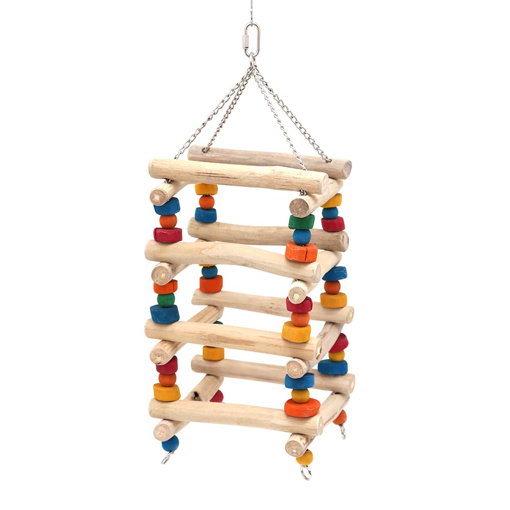 Amazon.co.jp: 大型インコ＆オウム用 コーヒーの木のカラフル止まり木