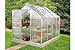 Produktbild Vitavia Gewächshaus Venus 5000 HKP 4mm 5 m², Alu