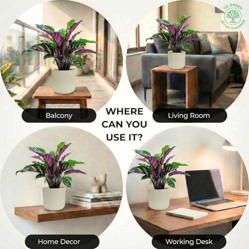 Image of Yo Green Modern Ribbed Ceramic Planter Pot | White Matte Indoor Plant Pot for Home, Office & Living Room Decor (Modern Ribbed-4 Inch-Yellow)