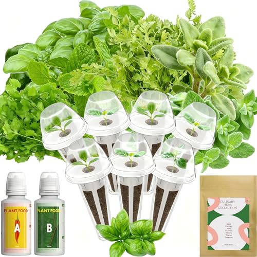inbloom Hydroponics Herb Seed Pod Kit for AeroGarden iDoo Ahopegarden GARDENCUBE 7 Pods (350+ Herb Seeds with Basil Parsley Mint Cilantro Savory Thyme and Oregano)