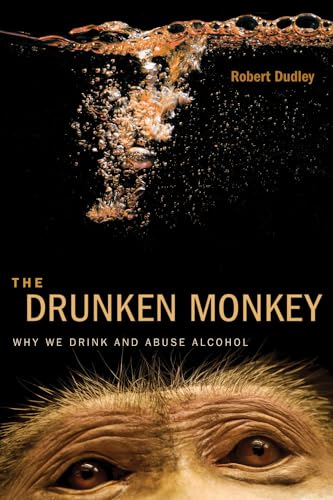 The Drunken Monkey view 2
