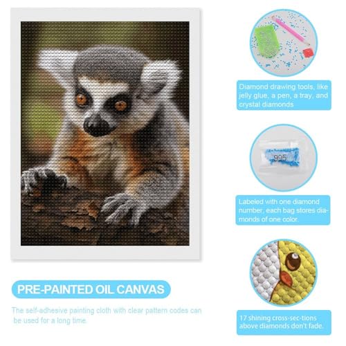Peinture diamant pour adultes motif singe lémurien kit broderie strass rond complète