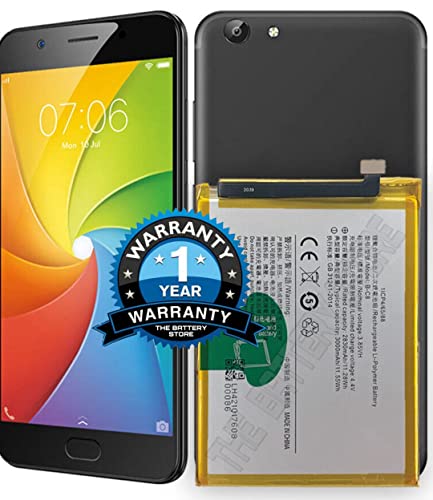 Image of THE BATTERY STORE Original Battery B-C8 for Y69 Battery with 1 Year Warranty and high Capacity Battery Backup.(for VIVO B-C8)