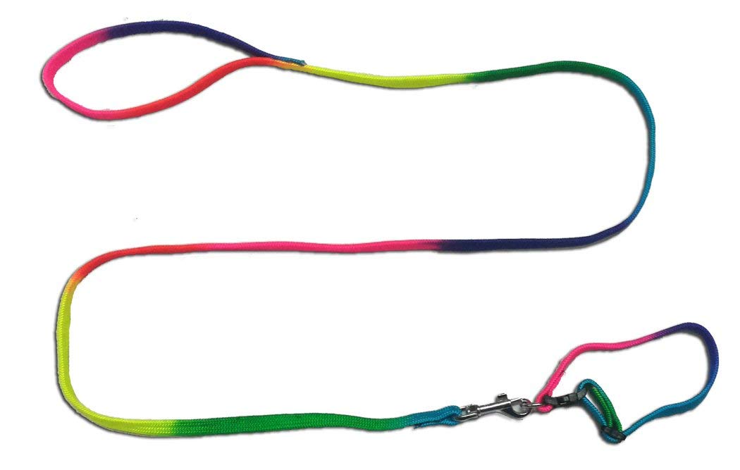 Realm Super Dog Puppy and Small Breed Dog Collar and Leash Set (B07YN4V5S3) Amazon Price History, Amazon Price Tracker