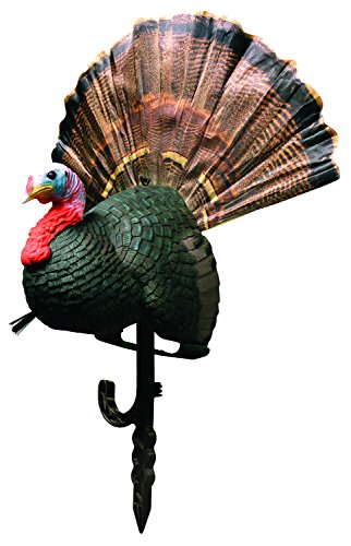 Primos Chicken On A Stick Jake Turkey Decoy