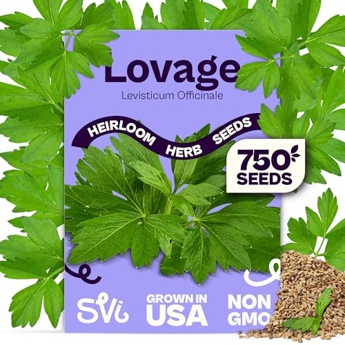 SVI 750 Lovage Seeds (Levisticum officinale) Lovage Medicinal & Culinary Herb Seed Packets Heirloom Perennial Herbs Seeds for Vegetable Garden Outdoor & Indoor Kitchen Herb Garden