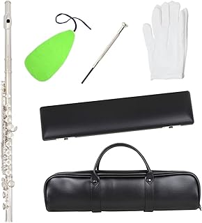 16 Holes Flute Silver Plated C Key Flute Musical Instruments Free Handbag Leather Box flute instrument