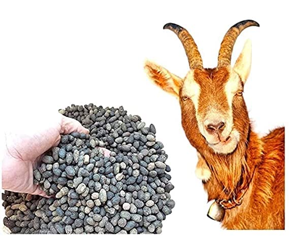 Thukil - Goat Dung Manure for Flowering Plants, Fruits & Vegetables| Organic Manure for Home Plants, Organic Fertilizer for Plants (500gms) (B0BPCS94HC) Amazon Price History, Amazon Price Tracker