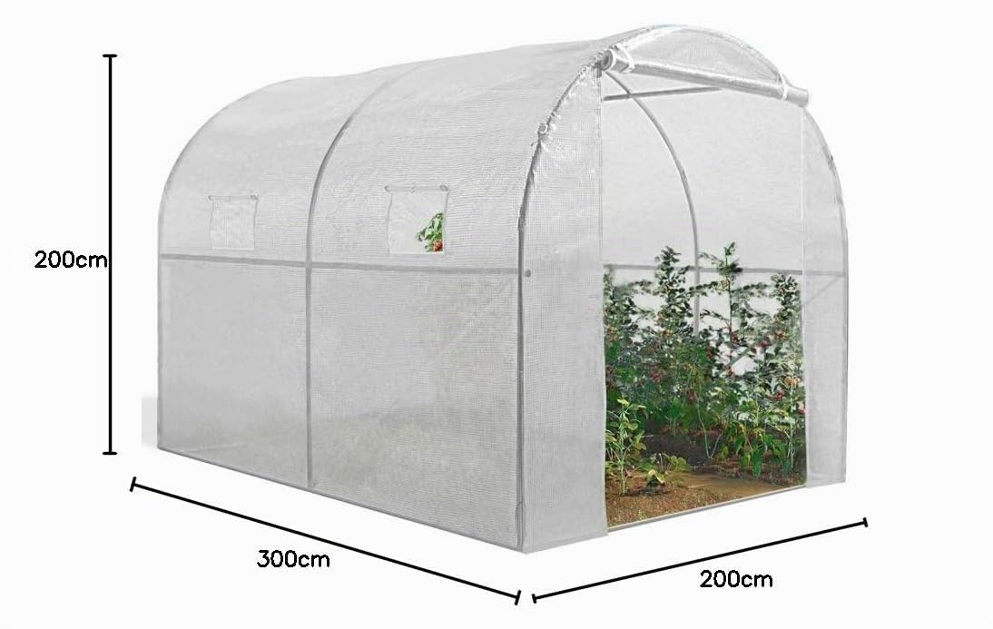 IDMarket - Invernadero de túnel de jardín de 4 estaciones, 6 m², color blanco, gama de hortalizas Roma, 2 x 3 m