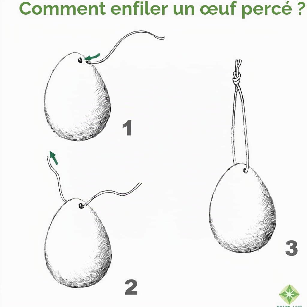 Œuf de Yoni Jade Néphrite pour massage et affermissement des Muscles du plancher pelvien, pré Percé, taille moyenne, pour tous les utilisateurs, 100% Naturel et Authentique, pour massage du plancher Yoni et entrainement des muscles pelvien excellent cadea