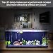 Main Luz LED, iluminación Acuario Acuario Blanco Azul Rojo Verde luz 7,5...