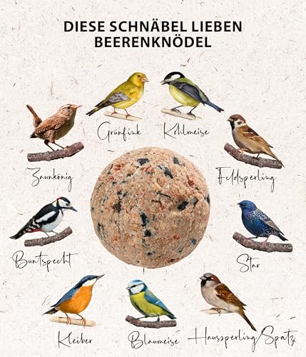 Dehner Natura Premium Meisenknödel ohne Netz, Beerenknödel, ganzjähriges Wildvogelfutter proteinreich / energiereich, 100 Stück je 90 g (9 kg), Karton aus FSC-zertifizierter Produktion