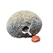 Heavy Thief-Proof Waterproof Real Rock Key Hole Hiding Stone