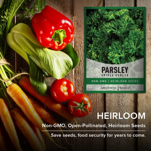 Gardeners Basics, Curled Parsley Seeds for Planting Indoors and Outdoors Heirloom, Open-Pollinated, Non-GMO Curly Herb Variety- Great for Home Gardens and More - Image 5