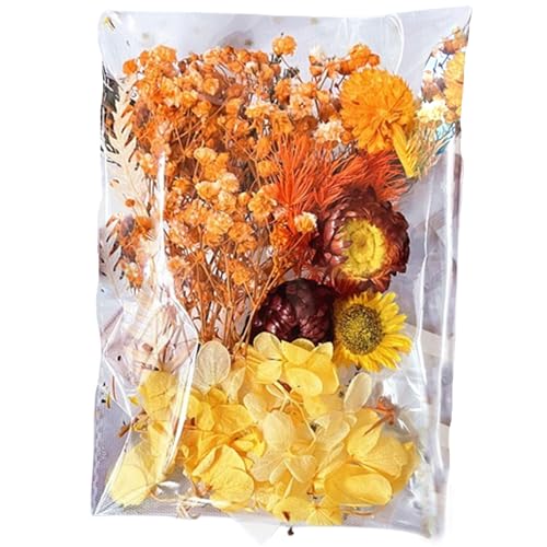 ԃLbg ? hCt[̋lߍ킹AJ[h쐬AWA[gADIY XNbvubNp̃GKgȑNtgޗ | ԃLbg̃e[ufUCAzAMtg{bNX