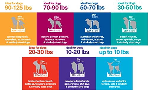 Aspen, Kennel, Trasportino In Plastica Per Animali - 6