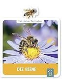  Die Biene: Mein kleines Tier-Lexikon (klein & groß Mein kleines Tier-Lexikon)
