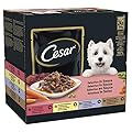 CESAR Pouch Selection in Sauce, Fresh Adult Wet Dog Food Pouches in Delicious Sauce with Succulent Meats and Vegetables, 48 x 100g