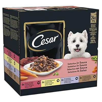 CESAR Pouch Selection in Sauce, Fresh Adult Wet Dog Food Pouches in Delicious Sauce with Succulent Meats and Vegetables, 48 x 100g