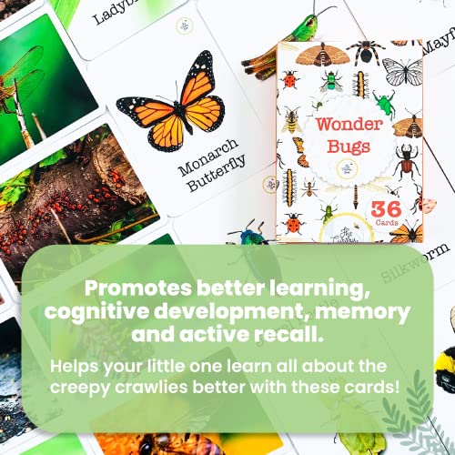 Image of Wonder Bugs | 36 Laminated Anti-Glare Cards | Montessori Inspired Fun & Easy to Learn Toys for Kids