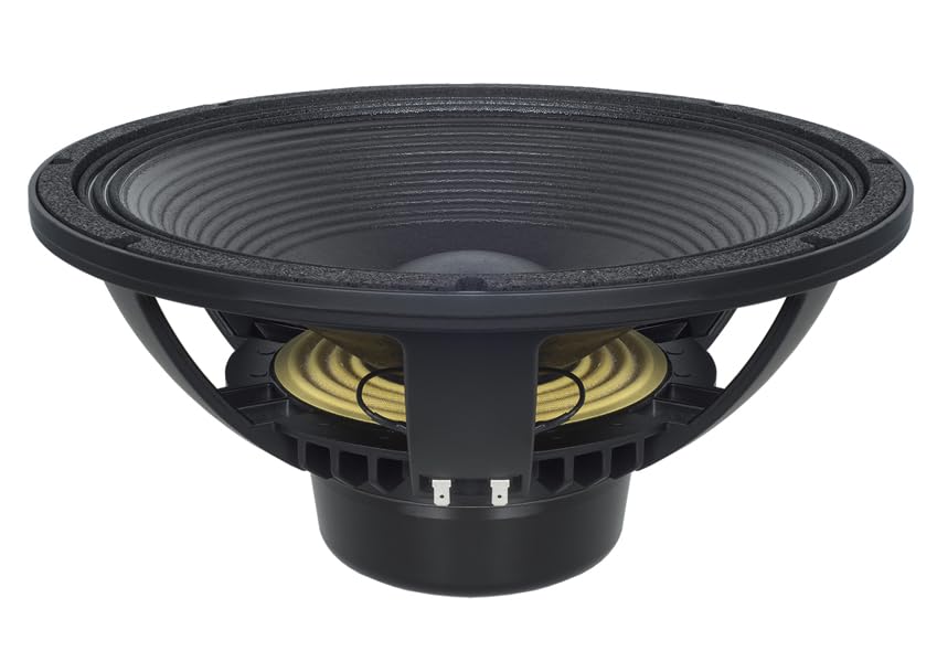 B &amp; C Speakers 15NBX100-8 15 Inch Woofer LF Drivers 1000 Wrms 2000 Watts Peak 4-inch Voice Coil Pro Audio Component Speaker Driver for Motorcycle Car 8 Ohm