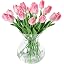 Pink -20