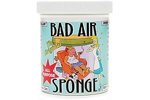 Nature's Air Sponge Odor Absorber 14oz