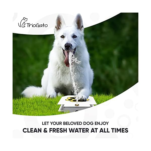 Dog-Outdoor-Dog-Drinking-Water-Fountain-Step-On-Easy-Paw-Activated-Drinking-Pet-Dispenser-Provides-Fresh-Water-Sturdy-Easy-to-Use-by-Trio-Gato Easy Paw Activated Drinking Pet Dispenser