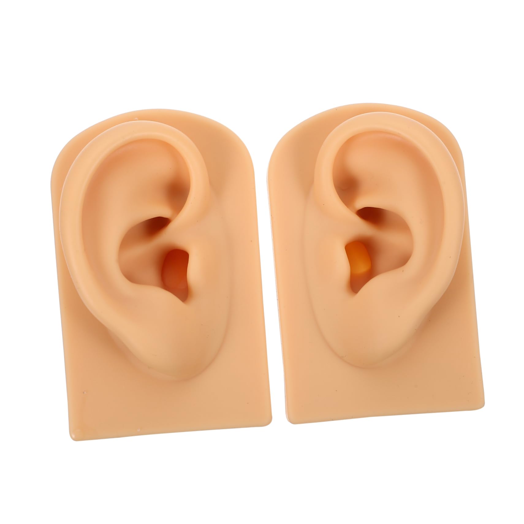 FOMIYES Silicone Ear Piercing Model Ear Display Earring Stand for Jewelry Piercing Practice Otolaryngology Tool
