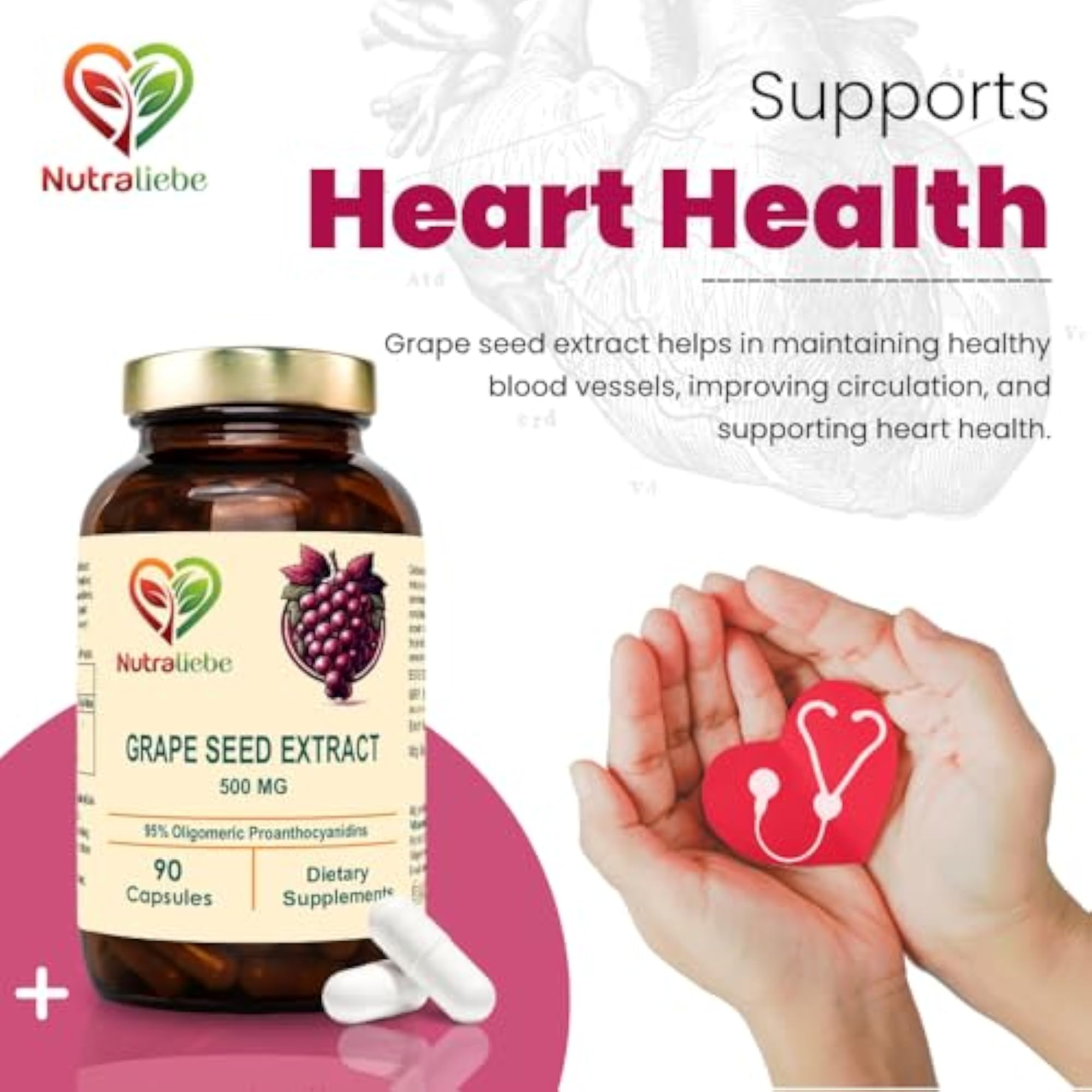 OPC Grape Seed Extract Capsules, 90 Count