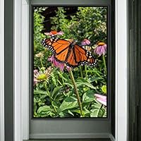 Framed Canvas Wall Art Butterfly Expressive Farmhouse/Country Home Office Insects Lake Multicolor Photography - 16x24 inches