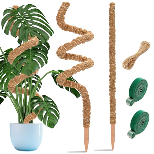 Aileem 2 Stück Moosstab Rankhilfe, 122 cm & 63 cm Biegsame Pflanzenstütze für Innenräume, Kokosstab zum Trainieren von Kletterpflanzen Hochwachsen