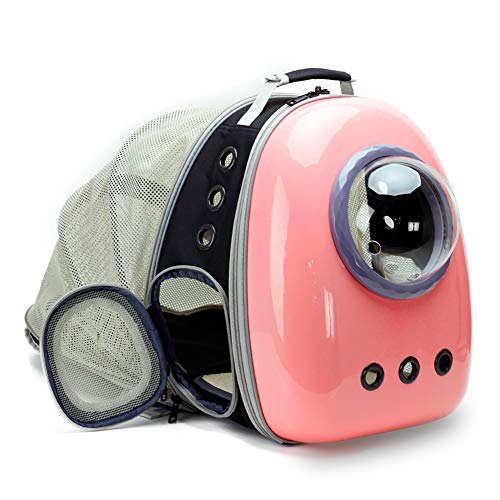 5 Best Cat Backpacks in 2023 Reviews & Top Picks Pango Pets