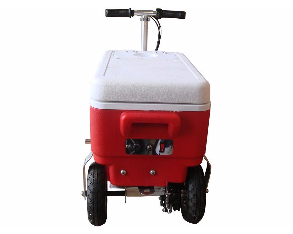 30 Qt. 1000W Scooter Electric Cooler Color: Red