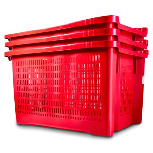 fci 10 cassette per olive impilabili adatte per frutta e raccolta olive cassette plastica 10pz (10)