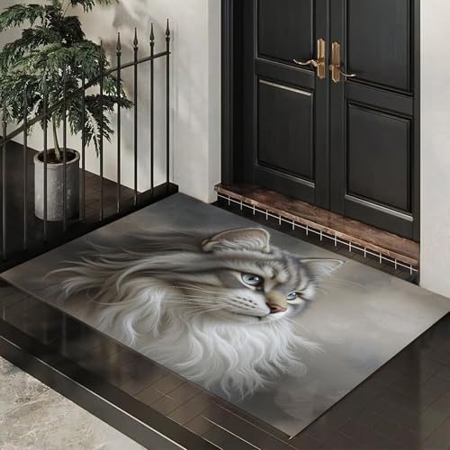 Tapis entree interieur absorbant et paillasson lavable chat - 2