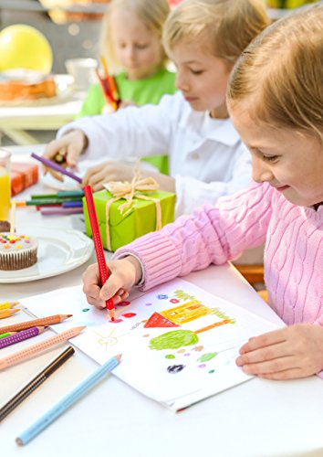 Faber-Castell Grip Colored Ecopencils - 24 Pack Colored Pencils, Pre-Sharpened #TOP6