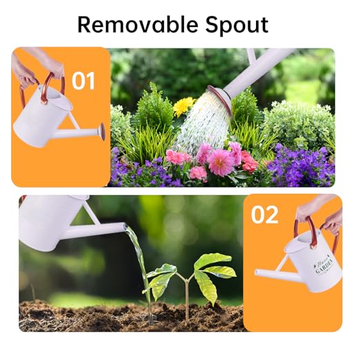 Lechloris Regador de Metal para Plantas Ao Ar Livre, Regador de Aço Galvanizado com Bico Removível,