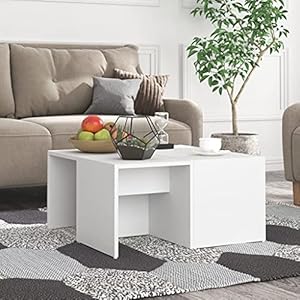 HaoChrymec 4er Set Weiß Couchtische mit Fächern