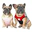 Cooling Shirts Pink Green Red Grey 2pcs
