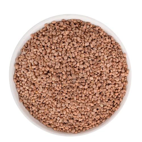 Image of RUSTIC BITES Natural Chironji Seed I Raw Charoli | Almondette Kernels | Almondette | Chironjii Dana | Crunchy Texture | Charoli| Seeds For Eating Kernels Seed | chironji seeds 100g