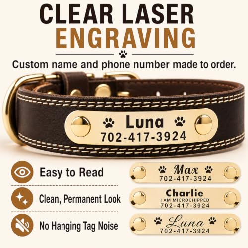 AM PET Vegan Leather Dog Collar