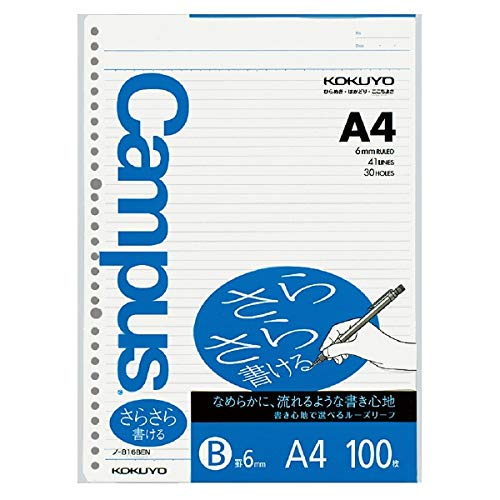 RN LpX[Y[t 炳珑 Br(6mm) A4 100 3Zbg