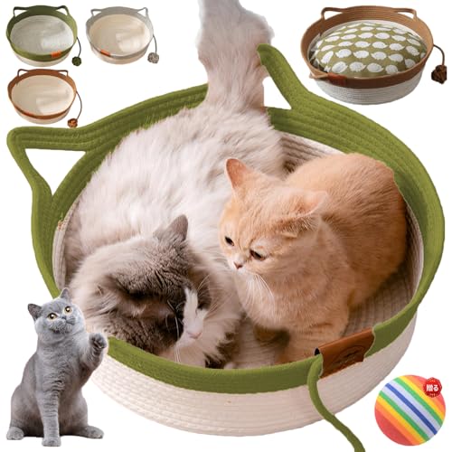 �L�p�x�b�h ��҂� �L �x�b�h �� �h�[�� �Ђ��� �L�n�E�X �ی^ �܌��� ���x�b�h ���҂� �y�b�g�n�E�X �􂦂� ��v ������ �ʋC�� �J�S �o�X�P�b�g �L���̌` ���􂢉\ �y�b�g�p�i �y�b�g�Q�� �L�Q�� �x�e�� �I�[���V�[�Y�� ���L���p (�O���[��