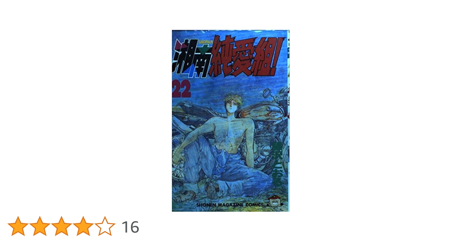 湘南純愛組 22 (少年マガジンコミックス) | 藤沢 とおる |本