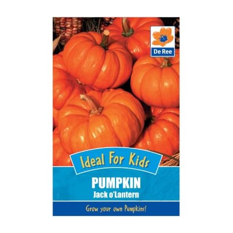 Pumpkin Jack o Lantern Seeds Cover