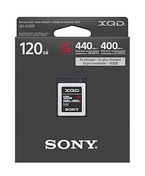 Amazon.com: Sony Professional XQD G series 120GB Memory Card