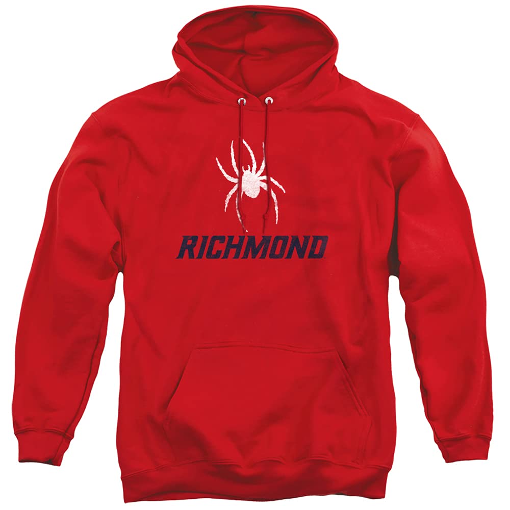 LOGOVISION Official Collegiate Distressed Primary Logo Adult Pullover Hoodie Collection — view 306