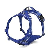 Shining Pet Truelove Adjustable No Pull Dog Harness Reflective Pup Vest, No Choke Front Lead, Easy Control Harness for Large Dogs and Medium Dogs (M, Royal Blue)