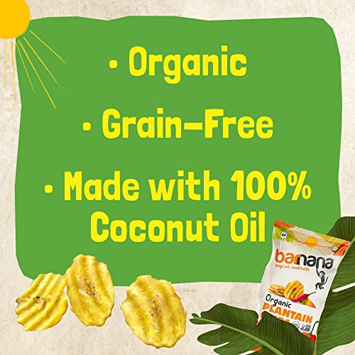 Barnana - Organic Plantain Chips, Spicy Mango Salsa, Healthy Snack Made With 100% Coconut Oil, Non-Gmo, Potato Chip Alternative, Low Sugar, Paleo, Grain-Free Chips, Vegan, Usda Organic (5 Oz, 6-Pack) #TOP2